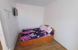 Apartament de vanzare, cu 2 camere, 29 mp,  zona Minerilor