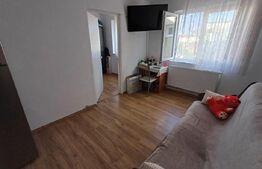 Apartament de vanzare, cu 2 camere, 29 mp,  zona Minerilor