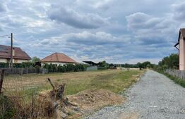 🏡 Teren intravilan 1503 mp cu dublă deschidere – Aleea Sf. Dumitru, Târgu Jiu