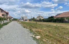 🏡 Teren intravilan 1503 mp cu dublă deschidere – Aleea Sf. Dumitru, Târgu Jiu
