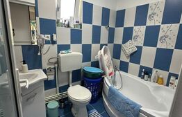 Casă individuală, Iezureni, 480 mp