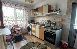 Casă individuală, Iezureni, 480 mp