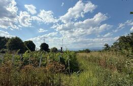 Casa batraneasca, renovabila, Comuna Danesti, Sat Vacarea, 2570 mp, front 25 ml