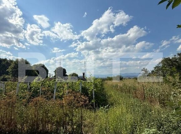 Casa de vânzare 4 camere Exterior Sud - 174385CV | BLITZ Târgu Jiu | Poza10