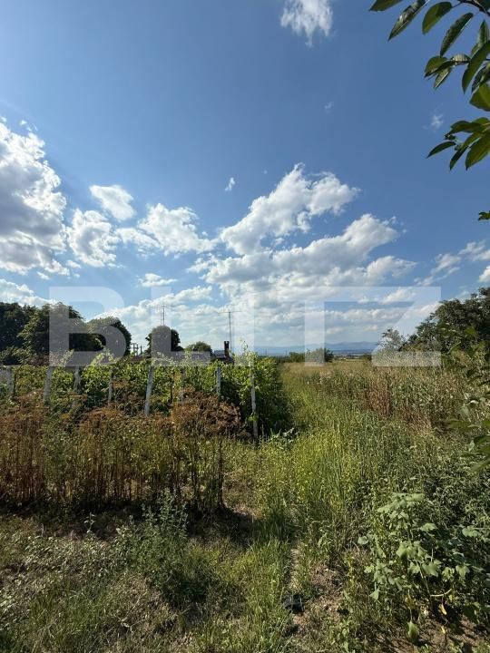 Casa de vânzare 4 camere Exterior Sud - 174385CV | BLITZ Târgu Jiu | Poza10