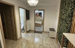 Apartament cu o camera, 45 mp, zona Aleea Garofitei