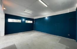 Spațiu industrial de 147 mp, teren 334 mp – zonă industrială CET