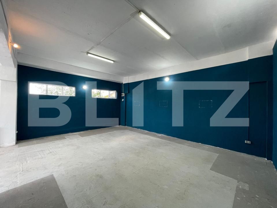 Spațiu industrial de vânzare Sud - 174583SVI | BLITZ Târgu Jiu | Poza3