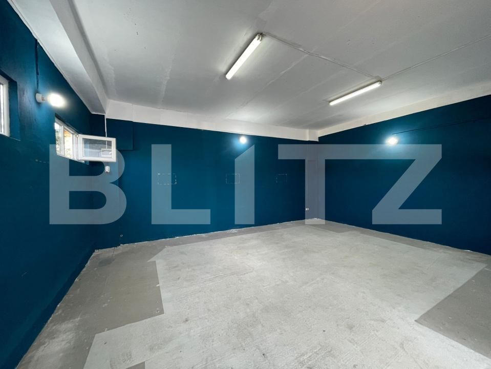 Spațiu industrial de vânzare Sud - 174583SVI | BLITZ Târgu Jiu | Poza5
