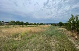 Teren de vânzare Sud - 182562TV | BLITZ Târgu Jiu | Poza1