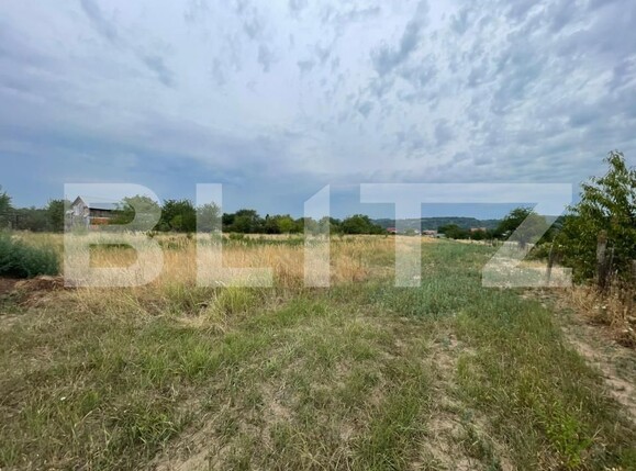 Teren de vânzare Șișești - 175024TV | BLITZ Târgu Jiu | Poza2