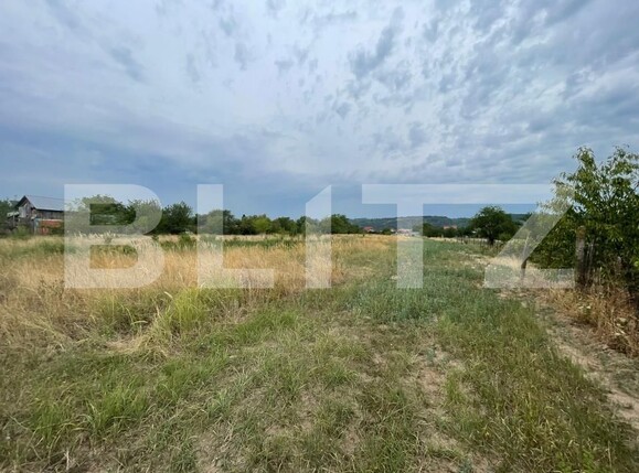 Teren de vânzare Șișești - 175024TV | BLITZ Târgu Jiu | Poza1