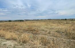 Teren de vânzare Primaverii - 166556TV | BLITZ Târgu Jiu | Poza2