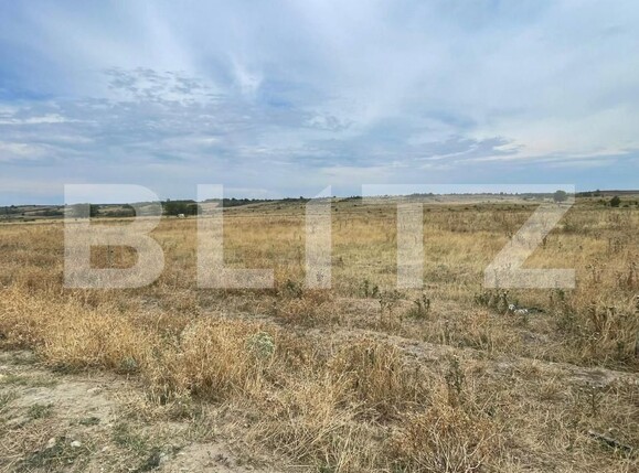 Teren de vânzare Artego - 175026TV | BLITZ Târgu Jiu | Poza1