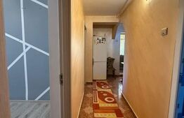 Apartament 2 camere, decomandat, 40 mp, parter, mobilat și utilat, zona 9 Mai