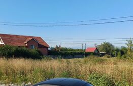 Teren intravilan si extravilan, 9500 mp, cu dublă deschidere – Ana Ipatescu
