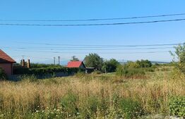 Teren intravilan si extravilan, 9500 mp, cu dublă deschidere – Ana Ipatescu