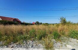 Teren intravilan si extravilan, 9500 mp, cu dublă deschidere – Ana Ipatescu