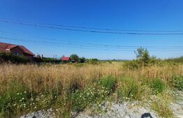 Teren intravilan si extravilan, 9500 mp, cu dublă deschidere – Ana Ipatescu