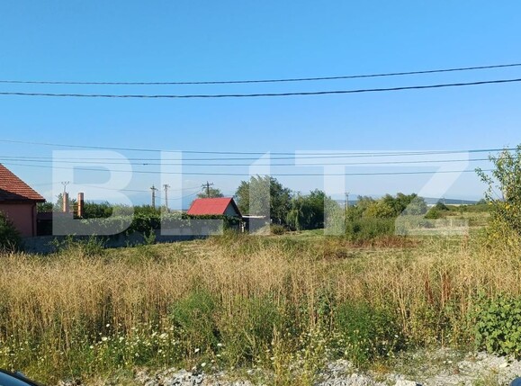 Teren de vânzare Sud - 175803TV | BLITZ Târgu Jiu | Poza2