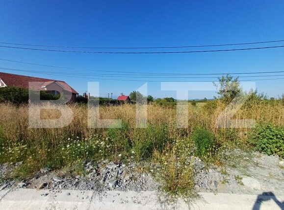 Teren de vânzare Sud - 175803TV | BLITZ Târgu Jiu | Poza1