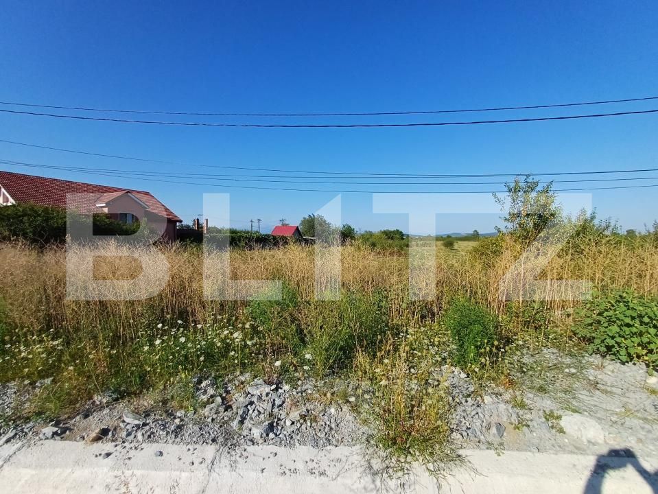 Teren de vânzare Sud - 175803TV | BLITZ Târgu Jiu | Poza1