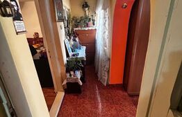 Casa individuala, zona centrala, 2 camere