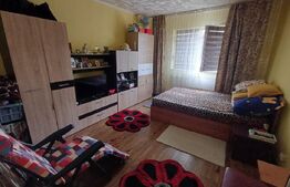 Apartament cu 2 camere, decomandat, 41 mp, parter, mobilat și utilat, zona 9 Mai