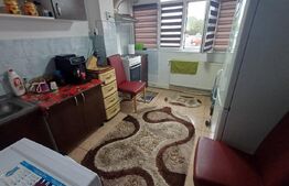 Apartament cu 2 camere, decomandat, 41 mp, parter, mobilat și utilat, zona 9 Mai
