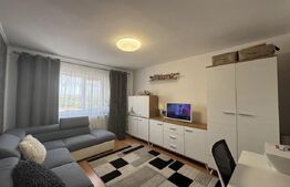 Apartament cu 2 camere, decomandat, zona Plopilor 