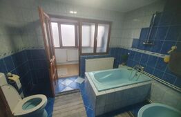 Casa de vanzare in zona Pandurasu