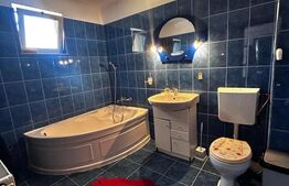 Casa P+1+M de vanzare