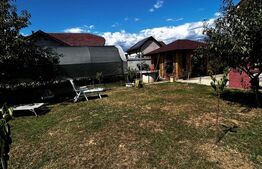 Casa P+1+M de vanzare