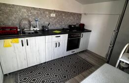 Casa P+1+M de vanzare