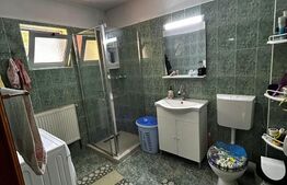 Casa P+1+M de vanzare