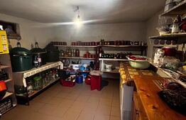 Casa P+1+M de vanzare