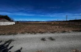 Teren Prelungirea Panduri 