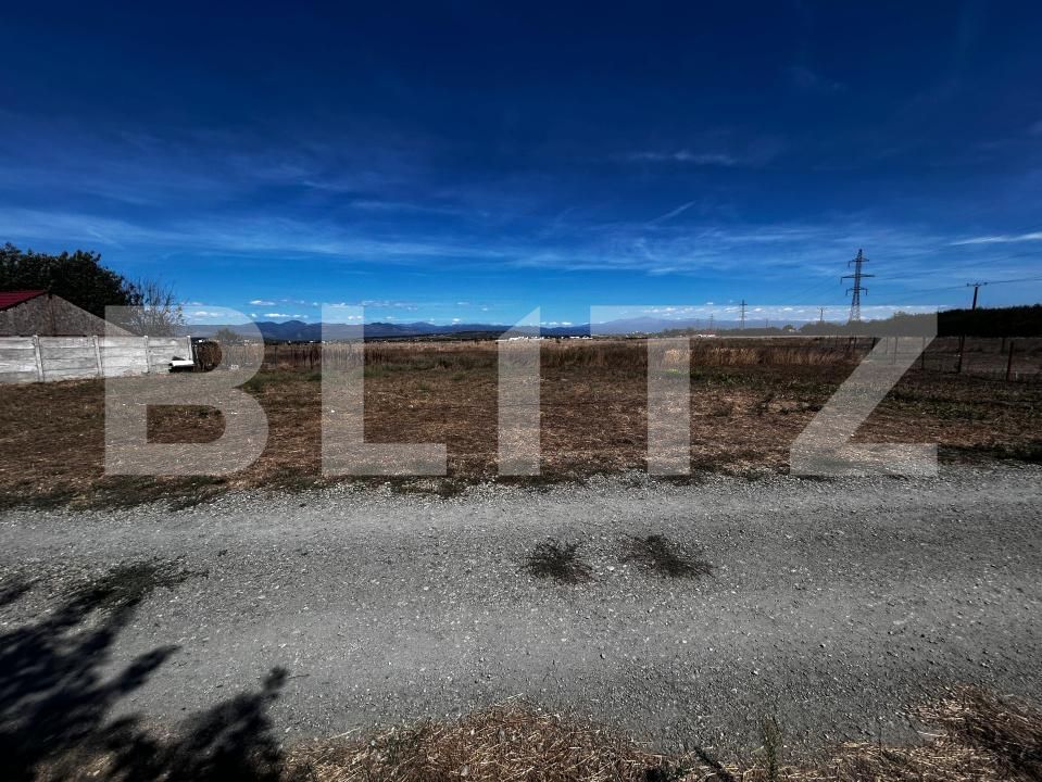 Teren de vânzare Sud - 176366TV | BLITZ Târgu Jiu | Poza1