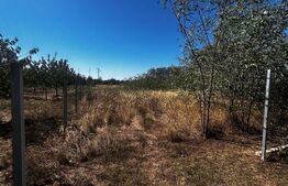 Teren de vânzare Vest - 162467TV | BLITZ Târgu Jiu | Poza1