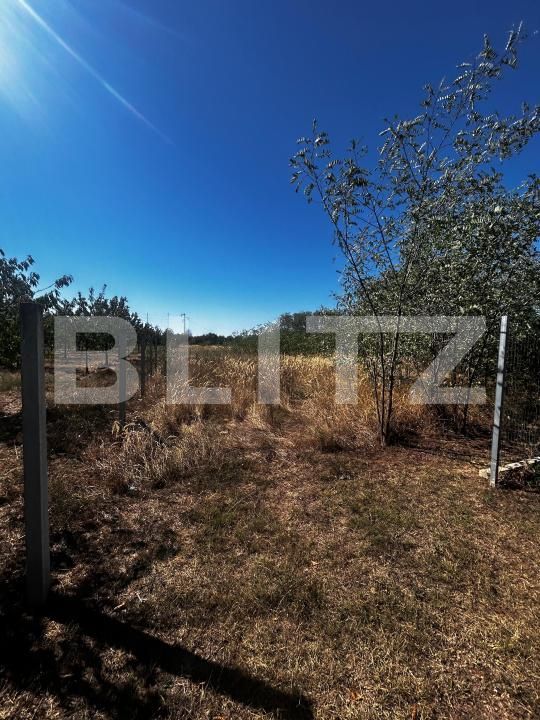 Teren de vânzare Primaverii - 176425TV | BLITZ Târgu Jiu | Poza1