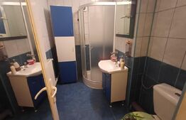 Vanzare/inchiriere spatiu comercial, zona 23 August