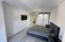 Apartament 2 camere decomandat, 53 mp, complet renovat – cartier Smardan