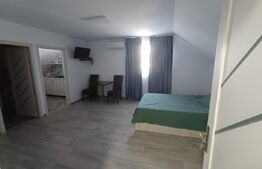 Garsoniera de inchiriat, 32 mp, regim hotelier, zona Ciocarlau