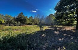 Doua casa de vanzare, teren intravilan 1773 mp, zona Stolojani