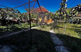 Doua casa de vanzare, teren intravilan 1773 mp, zona Stolojani