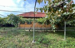 Casa de vânzare 3 camere Exterior Vest - 113312CV | BLITZ Târgu Jiu | Poza1