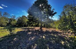 Doua casa de vanzare, teren intravilan 1773 mp, zona Stolojani