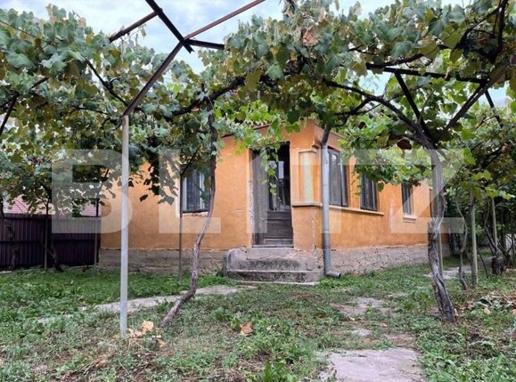Casa de vânzare 3 camere Exterior Vest - 178368CV | BLITZ Târgu Jiu | Poza3