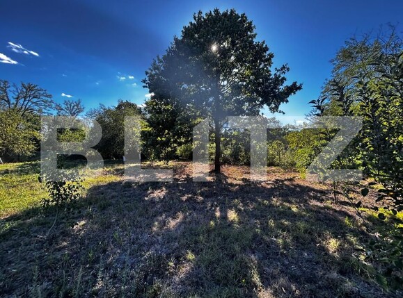 Casa de vânzare 3 camere Exterior Vest - 178368CV | BLITZ Târgu Jiu | Poza6