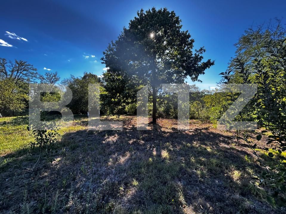 Casa de vânzare 3 camere Exterior Vest - 178368CV | BLITZ Târgu Jiu | Poza6